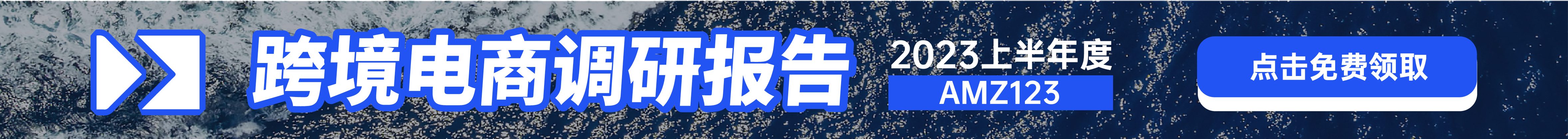 《AMZ123丨2023上半年度跨境电商行业调研报告》PDF 下载